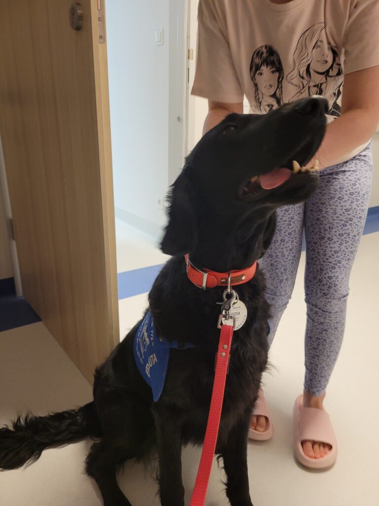 Psi terapeuta - Edzia